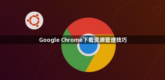 Google Chrome下载资源管理技巧1