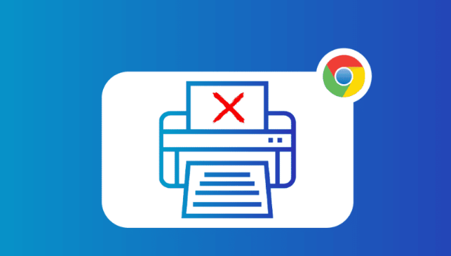 Google浏览器是否支持网页预加载缓存