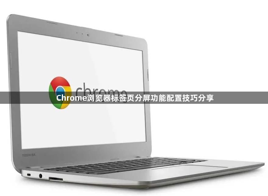 Chrome浏览器标签页分屏功能配置技巧分享1