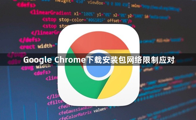 Google Chrome下载安装包网络限制应对1