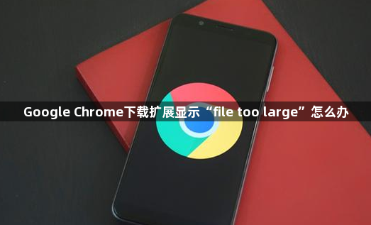 Google Chrome下载扩展显示“file too large”怎么办1