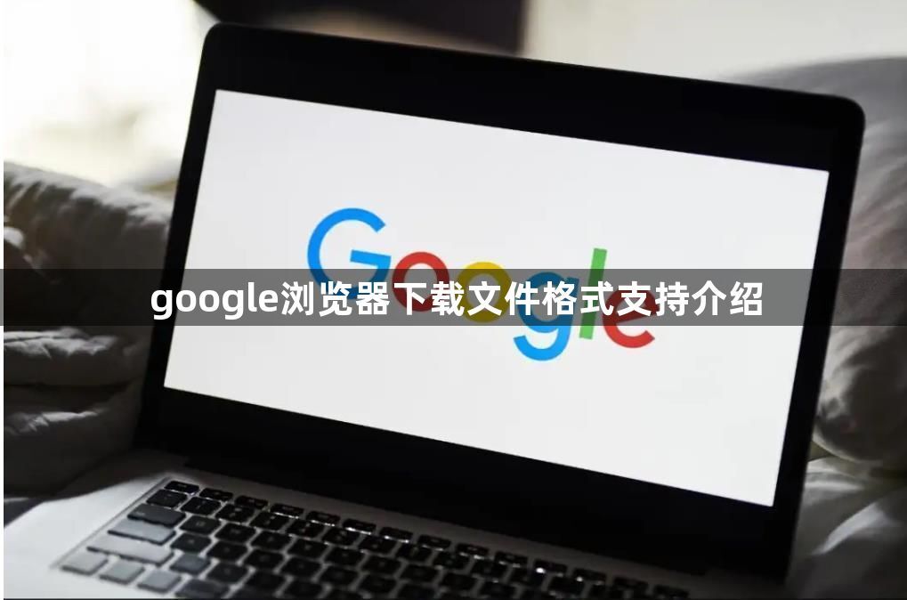 google浏览器下载文件格式支持介绍1