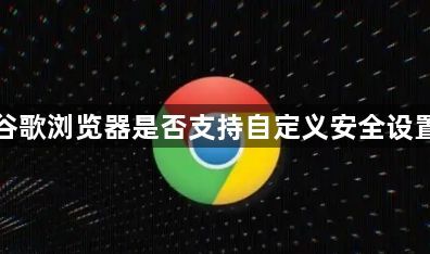 谷歌浏览器是否支持自定义安全设置1