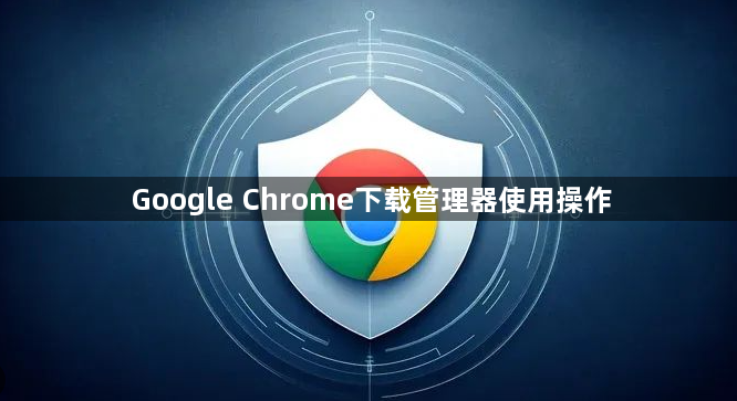 Google Chrome下载管理器使用操作1