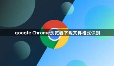 google Chrome浏览器下载文件格式识别1