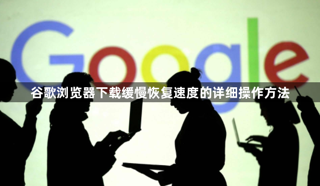谷歌浏览器下载缓慢恢复速度的详细操作方法1
