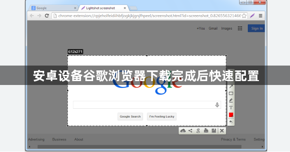 安卓设备谷歌浏览器下载完成后快速配置1