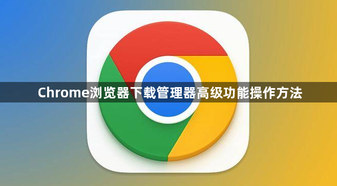 Chrome浏览器下载管理器高级功能操作方法1