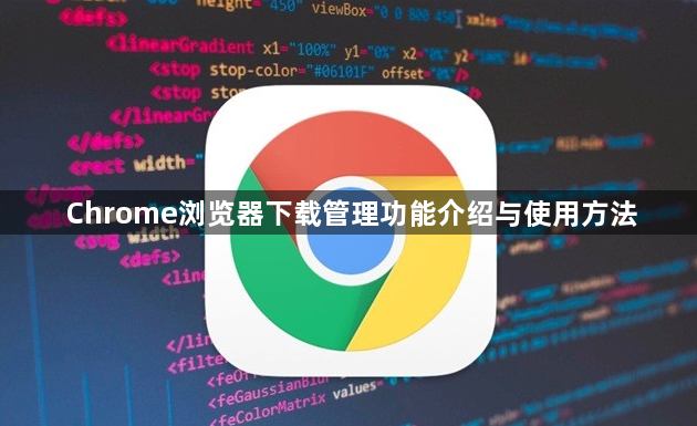 Chrome浏览器下载管理功能介绍与使用方法1