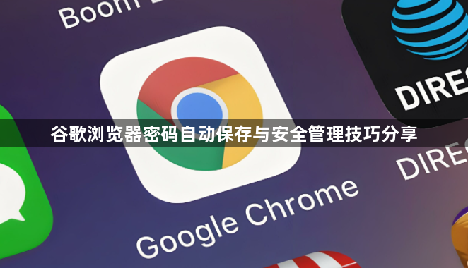 谷歌浏览器密码自动保存与安全管理技巧分享1