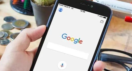 Chrome浏览器下载后如何开启网页数据备份