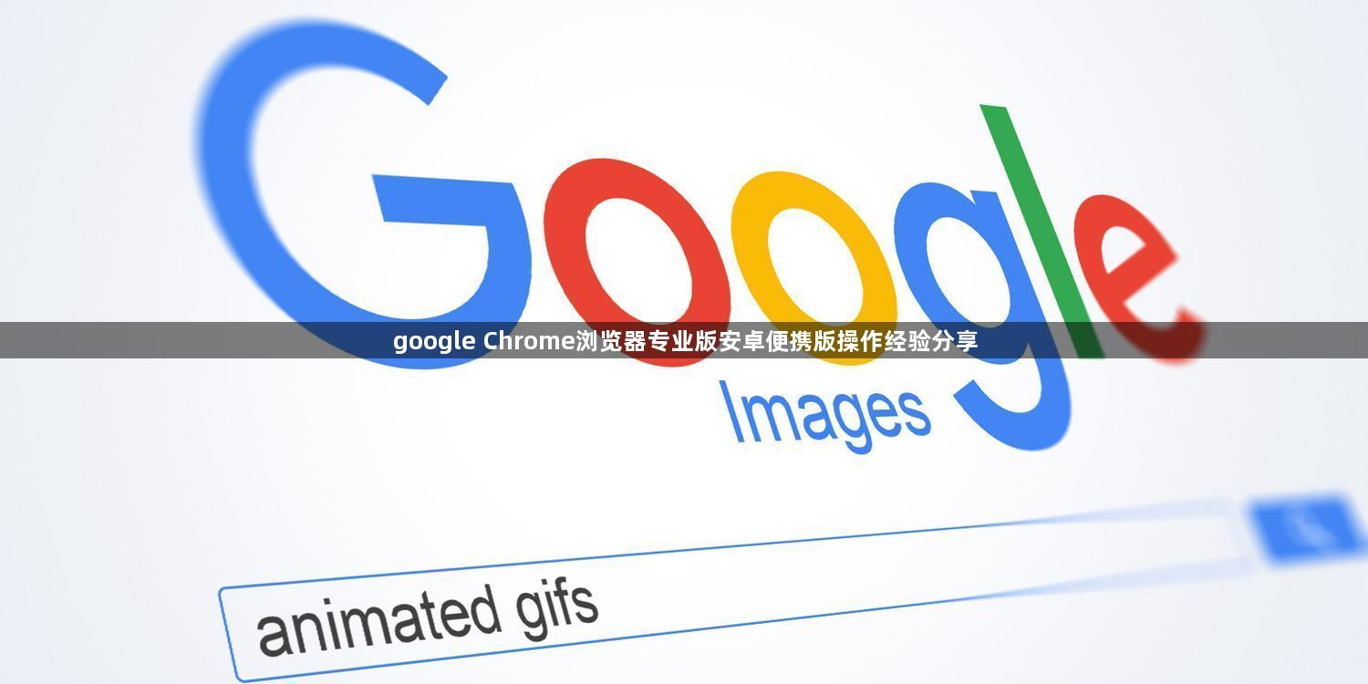 google Chrome浏览器专业版安卓便携版操作经验分享1