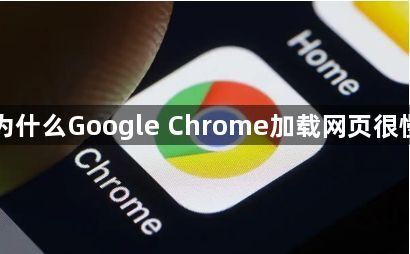 为什么Google Chrome加载网页很慢1