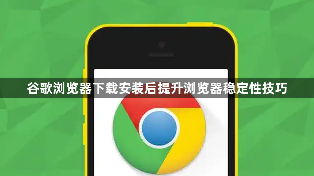 谷歌浏览器下载安装后提升浏览器稳定性技巧1