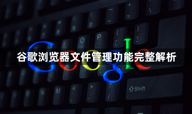 谷歌浏览器文件管理功能完整解析1