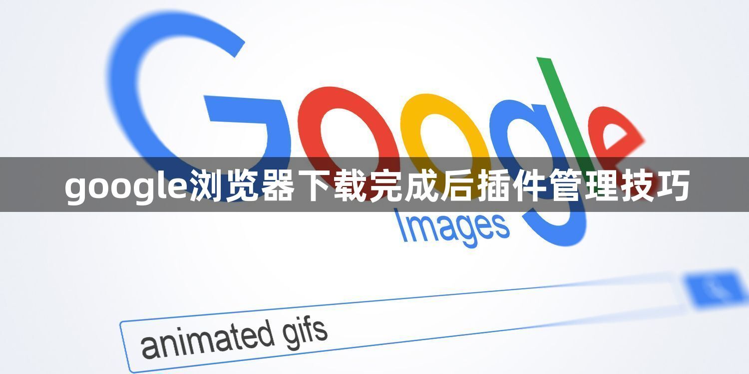 google浏览器下载完成后插件管理技巧1
