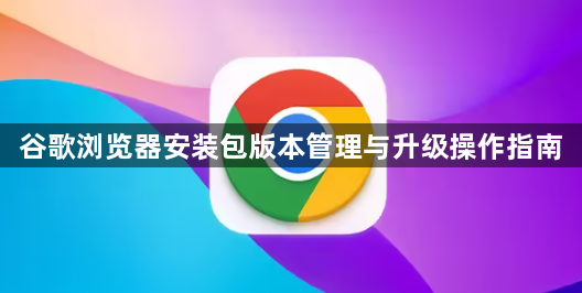 谷歌浏览器安装包版本管理与升级操作指南1