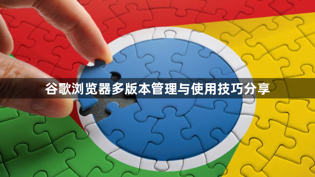 谷歌浏览器多版本管理与使用技巧分享1